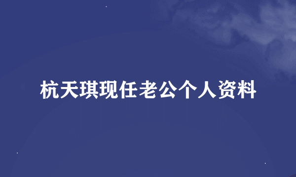 杭天琪现任老公个人资料