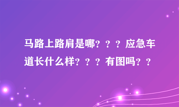 马路上路肩是哪？？？应急车道长什么样？？？有图吗？？