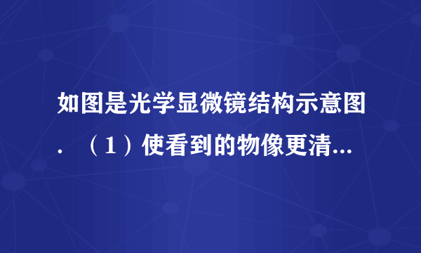 如图是光学显微镜结构示意图．（1）使看到的物像更清晰，应轻微调节的结构是______．A．结构11  　B．结