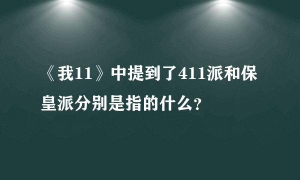 《我11》中提到了411派和保皇派分别是指的什么？