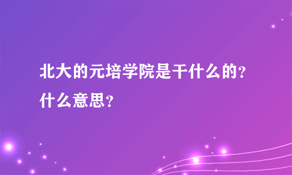 北大的元培学院是干什么的？什么意思？