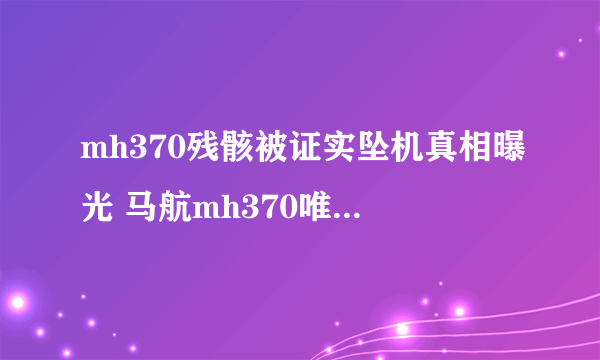 mh370残骸被证实坠机真相曝光 马航mh370唯一幸存者被找到真的吗