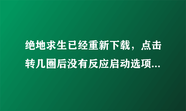 绝地求生已经重新下载，点击转几圈后没有反应启动选项已设置，游戏完整性一文件验证失败。