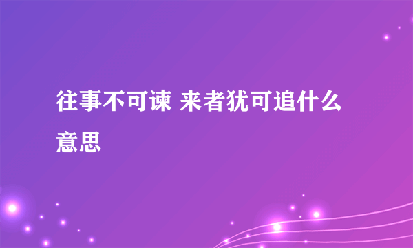 往事不可谏 来者犹可追什么意思