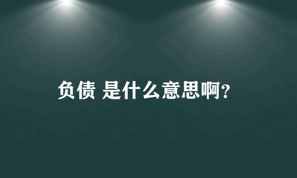 负债 是什么意思啊？