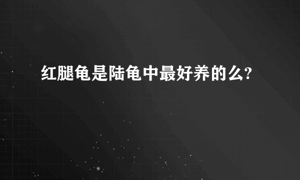 红腿龟是陆龟中最好养的么?