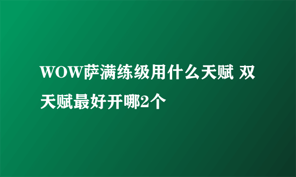 WOW萨满练级用什么天赋 双天赋最好开哪2个