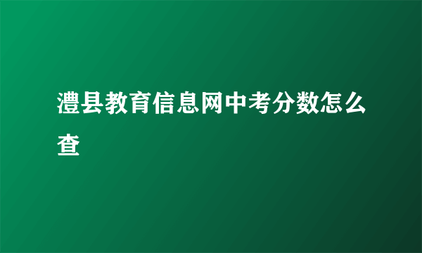 澧县教育信息网中考分数怎么查