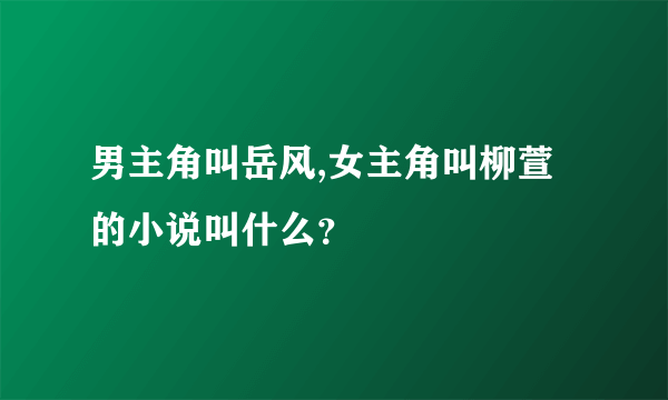 男主角叫岳风,女主角叫柳萱的小说叫什么？