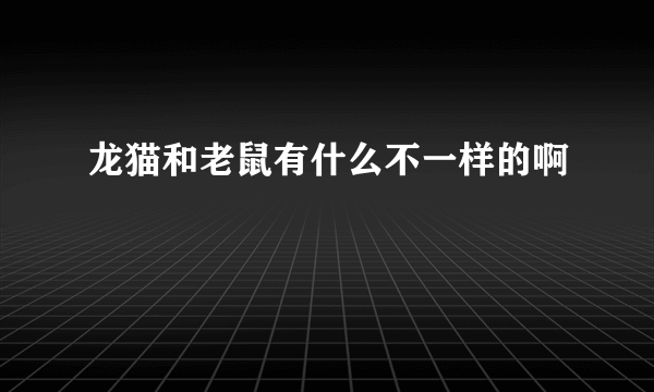 龙猫和老鼠有什么不一样的啊