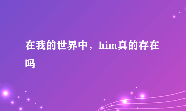 在我的世界中，him真的存在吗