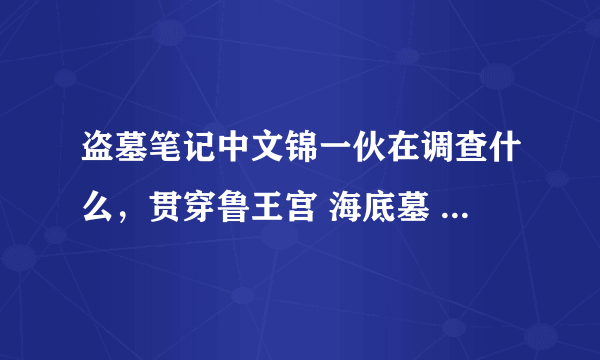 盗墓笔记中文锦一伙在调查什么，贯穿鲁王宫 海底墓 云顶 蛇沼 和汪藏海铁面生的秘密是什么，终极是什么