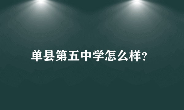 单县第五中学怎么样？