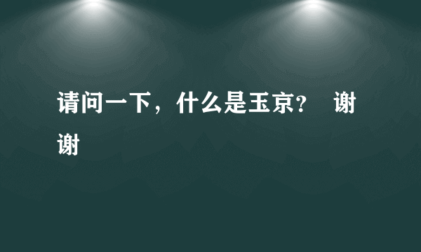 请问一下，什么是玉京？  谢谢