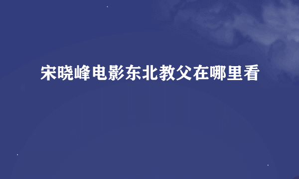 宋晓峰电影东北教父在哪里看