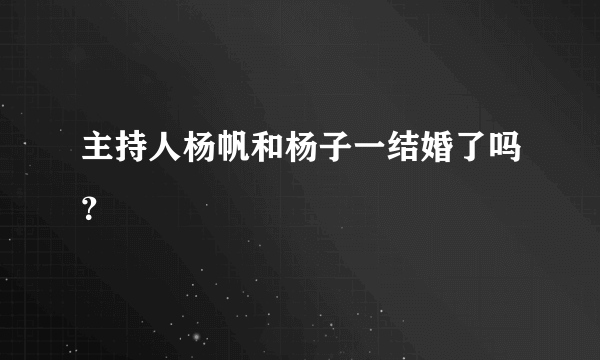 主持人杨帆和杨子一结婚了吗？