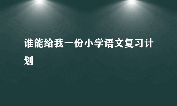 谁能给我一份小学语文复习计划