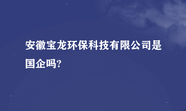 安徽宝龙环保科技有限公司是国企吗?