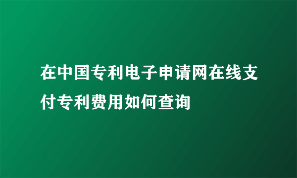 在中国专利电子申请网在线支付专利费用如何查询