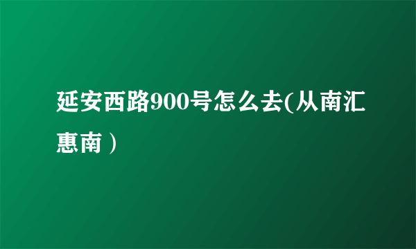 延安西路900号怎么去(从南汇惠南）