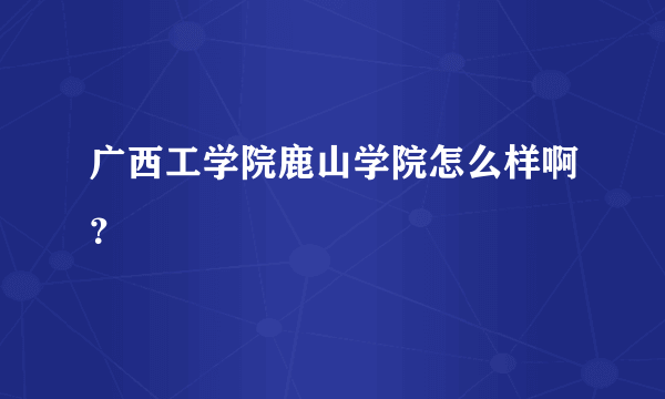 广西工学院鹿山学院怎么样啊？