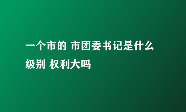 一个市的 市团委书记是什么级别 权利大吗