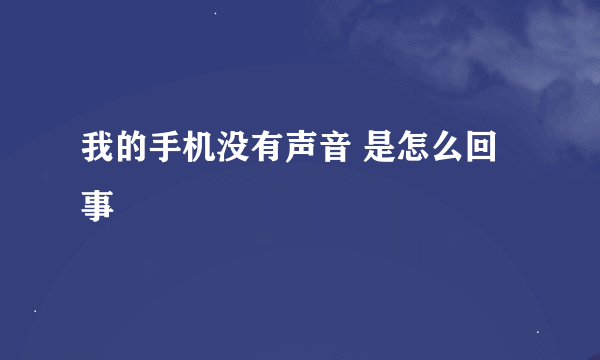 我的手机没有声音 是怎么回事