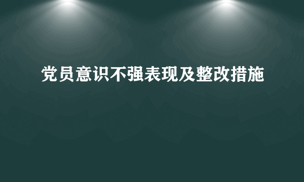 党员意识不强表现及整改措施