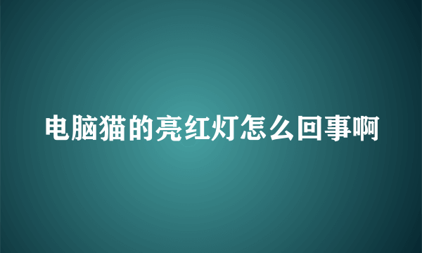 电脑猫的亮红灯怎么回事啊