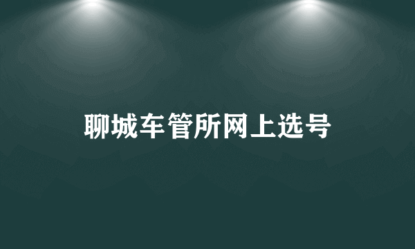 聊城车管所网上选号