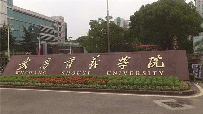 武昌首义学院是211大学吗