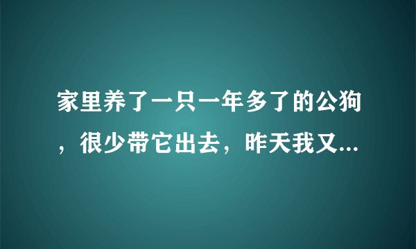 家里养了一只一年多了的公狗，很少带它出去，昨天我又领了一只跟公狗差不多大的母狗回来了。回来以后母狗