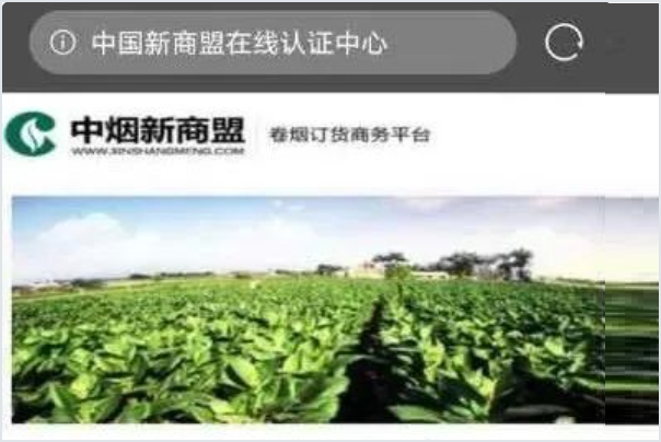 在新商盟订烟时忘记密码找回密码的时候请选择安全验证方式下面为什么没有验证？