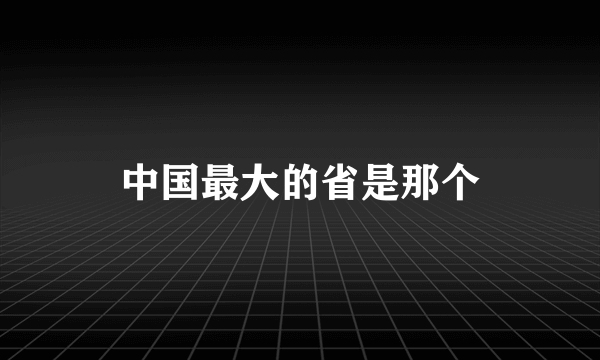 中国最大的省是那个