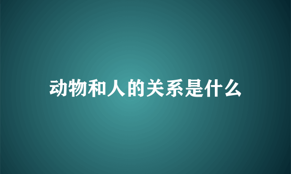 动物和人的关系是什么