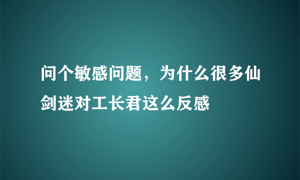 问个敏感问题，为什么很多仙剑迷对工长君这么反感