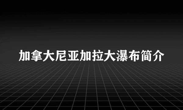 加拿大尼亚加拉大瀑布简介