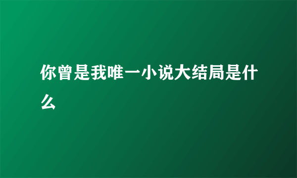 你曾是我唯一小说大结局是什么