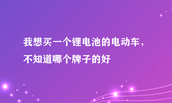 我想买一个锂电池的电动车，不知道哪个牌子的好