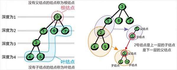 二叉树的深度和高度有什么区别??