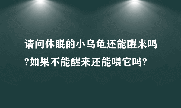 请问休眠的小乌龟还能醒来吗?如果不能醒来还能喂它吗?