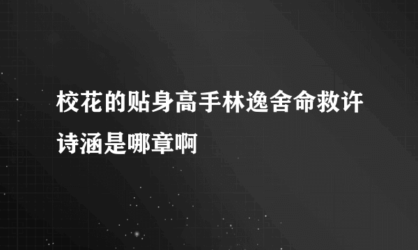 校花的贴身高手林逸舍命救许诗涵是哪章啊