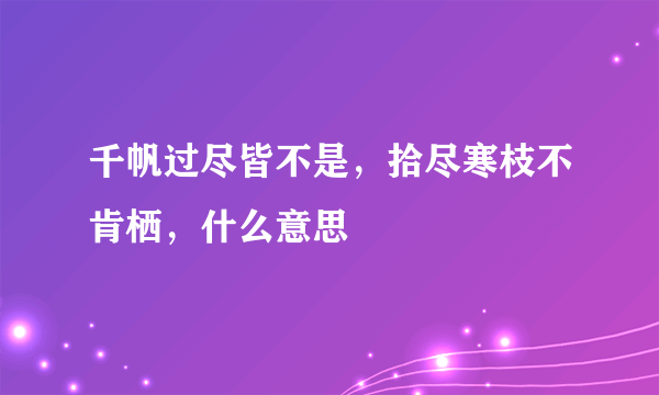 千帆过尽皆不是，拾尽寒枝不肯栖，什么意思