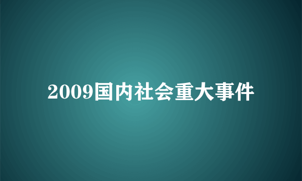 2009国内社会重大事件