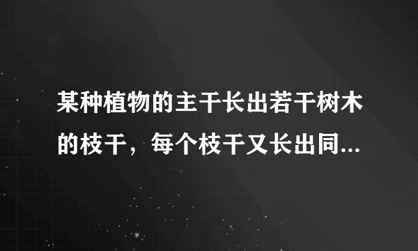 某种植物的主干长出若干树木的枝干，每个枝干又长出同样数目的小分支，主干、支杆和小分支的总数是91，