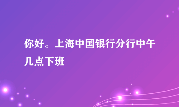 你好。上海中国银行分行中午几点下班