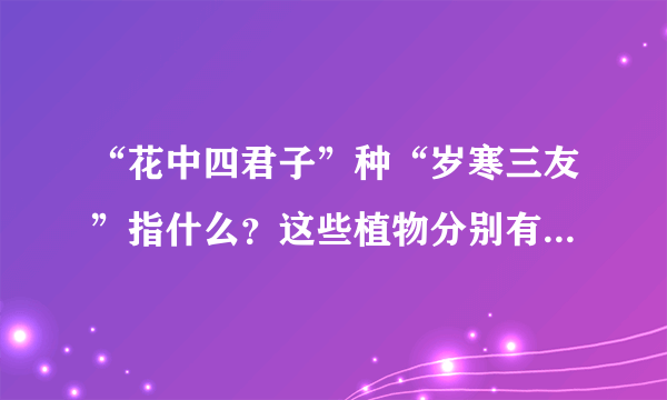 “花中四君子”种“岁寒三友”指什么？这些植物分别有什么寓意，什么样的品格？