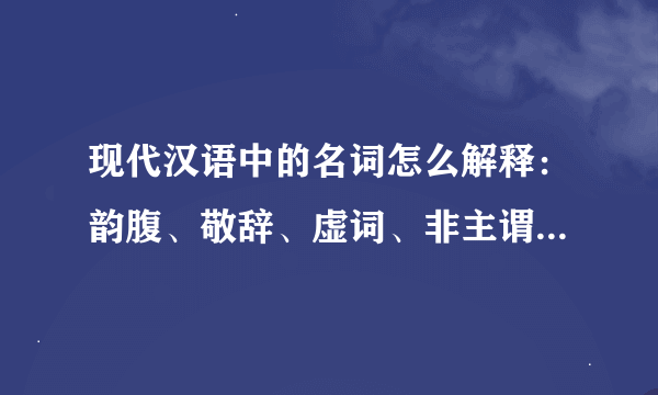 现代汉语中的名词怎么解释：韵腹、敬辞、虚词、非主谓句、记号