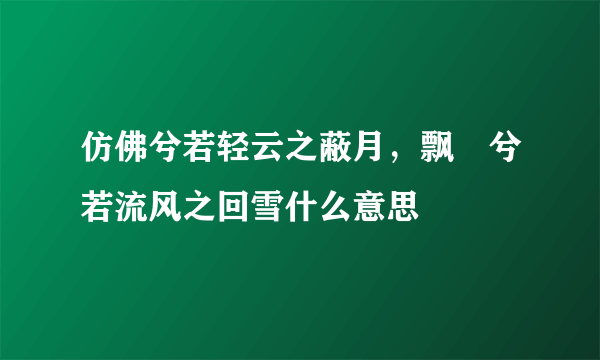 仿佛兮若轻云之蔽月，飘飖兮若流风之回雪什么意思