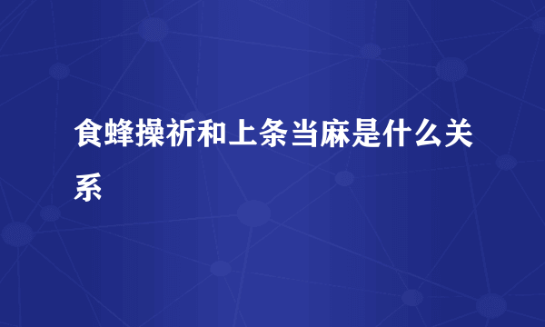 食蜂操祈和上条当麻是什么关系